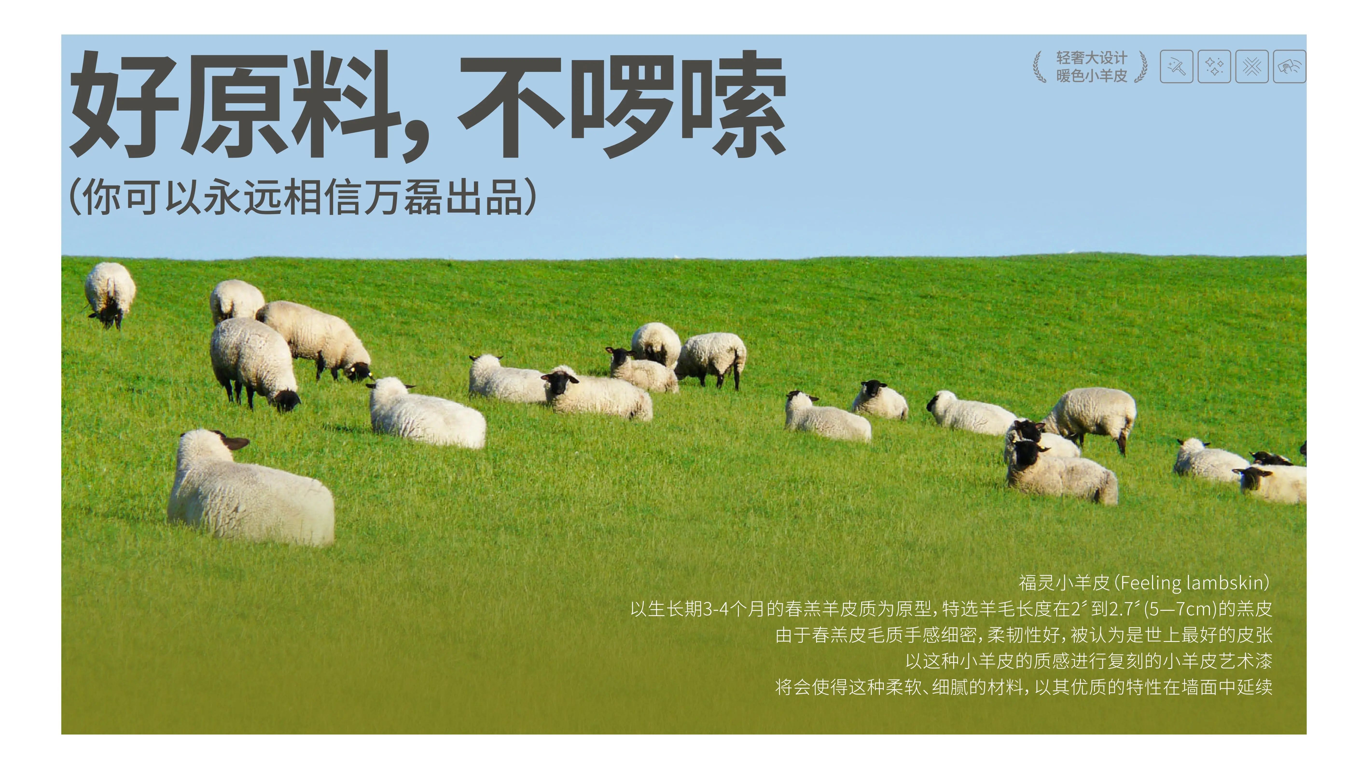 萬磊福靈小羊皮來啦！多樣的表面質(zhì)感等您來解鎖~