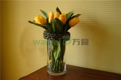 有了硅藻泥，新房入住不再等！