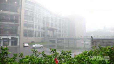 驚蟄過，春雨至，硅藻泥讓你告別濕轆轆